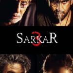 Download Sarkar 3 (2017) Hindi Movie 480p | 720p |