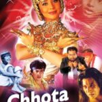 Download Chhota Chetan (1998) Hindi Movie 480p | 720p |