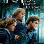 Harry-Potter-and-the-Deathly-Hallows-Part-1-2010-Dual-Audio-Hindi-English-Movie