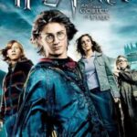 Harry-Potter-and-the-Goblet-of-Fire-2005-Hindi-English-Movie