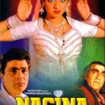 Nagina-1986-Hindi-Movie